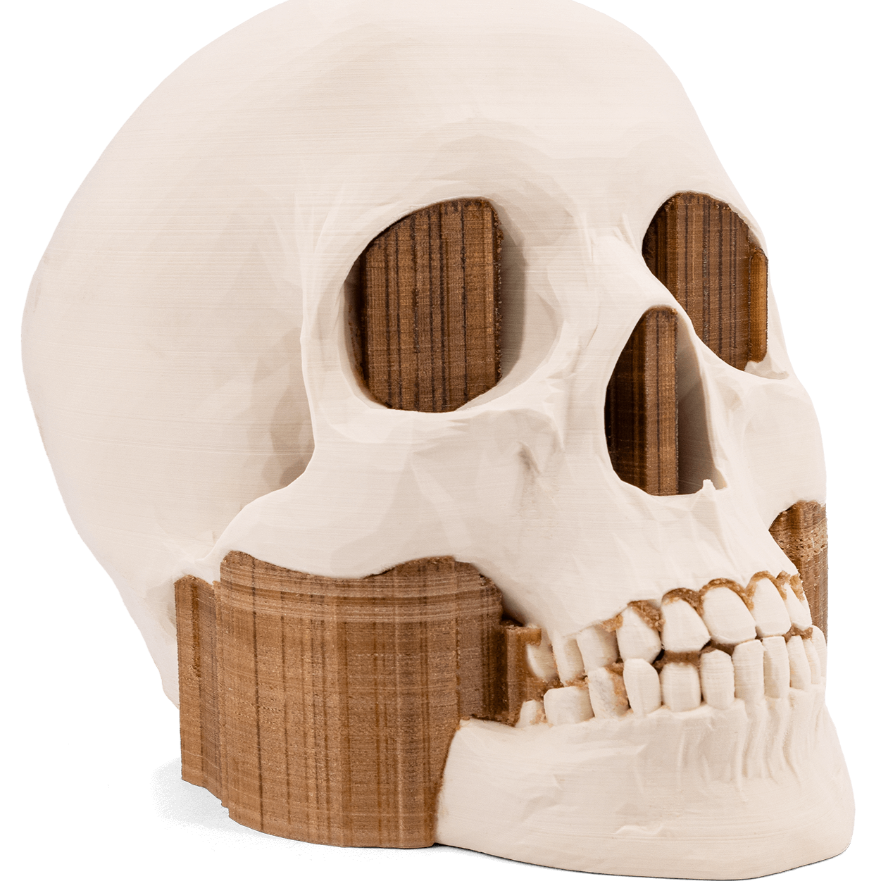 3DXtech simubone atome3d